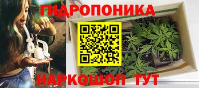 гашик Тверь