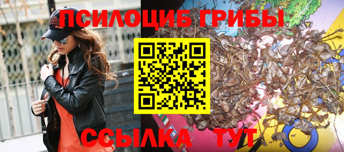 Галлюциногенные грибы Cubensis Павловский Посад