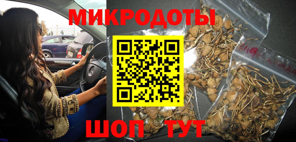 Павловский Посад  Галлюциногенные грибы Magic Shrooms  Вход с VPN 